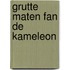 Grutte maten fan de kameleon
