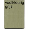 Veelkleurig grijs door J.J. Polder