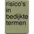Risico's in bedijkte termen