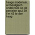 Haags modehuis. Archeoligisch onderzoek op de percelen Spui 39 t/m 43 te Den Haag