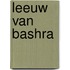 Leeuw van bashra