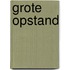 Grote opstand