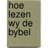 Hoe lezen wy de bybel