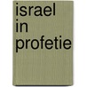 Israel in profetie door Klein Haneveld