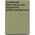 Caraibische dilemma's in een stagnerend dekolonisatieproces