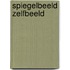 Spiegelbeeld zelfbeeld