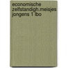 Economische zelfstandigh.meisjes jongens 1 lbo by Unknown
