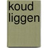 Koud liggen