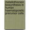Metallothionein biosynthesis in human haematopoietic precursor cells by K. Kuppens