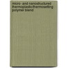 Micro- and nanostructured thermoplastic/thermosetting polymer blend by S. Goossens