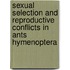 Sexual selection and reproductive conflicts in ants hymenoptera