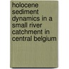 Holocene sediment dynamics in a small river catchment in central Belgium door T. Rommens
