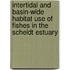 Intertidal and basin-wide habitat use of fishes in the scheldt estuary