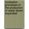 Nucleation processes in the production of water blown expanded door T. Verhanneman