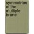 Symmetries of the multiple brane
