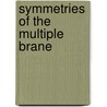 Symmetries of the multiple brane by J. Adam