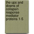 The ups and downs of collapsin response mediator proteins 1-5