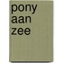 Pony aan zee