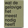 Wat de gelovige het meest nodig heeft door J. Osteen