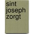Sint joseph zorgt