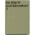 Op stap in oud-bennekom 1
