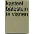 Kasteel batestein te vianen