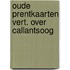 Oude prentkaarten vert. over callantsoog