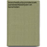 Branchestructuuronderzoek aardewerkbedrijven en keramisten by R.M. Braaksma