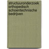 Structuuronderzoek orthopedisch schoentechnische bedrijven door W.D.M. van der Valk