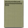 Structuuronderzoek glazenwassersbedrijf 2009 by W.D.M. van der Valk