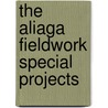 The Aliaga fieldwork special projects by Utrecht University Geological Survey
