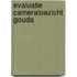 Evaluatie cameratoezicht Gouda