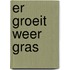 Er groeit weer gras