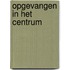 Opgevangen in het centrum