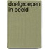 Doelgroepen in beeld