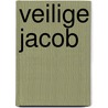 Veilige jacob door Onbekend