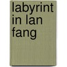 Labyrint in lan fang door Robert van Gulik