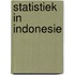 Statistiek in indonesie