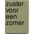 Zuster voor een zomer
