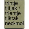 Trintje Tjitjak / Trientje Tjiktak Ned-Mol door H. Steensma