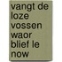 Vangt de loze vossen waor blief le now