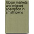 Labour markets and migrant absorption in small towns