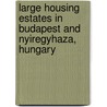 Large Housing Estates in Budapest and Nyiregyhaza, Hungary door I. Tosics