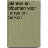 Planten en bloemen voor terras en balkon by Unknown