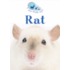 De rat