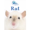 De rat by Witold Gombrowicz