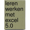 Leren werken met Excel 5.0 door D. de Roo