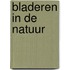 Bladeren in de natuur
