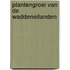 Plantengroei van de waddeneilanden