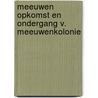 Meeuwen opkomst en ondergang v. meeuwenkolonie door Onbekend